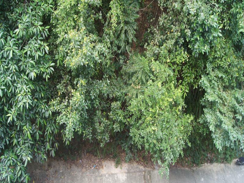 Hotel Hsiang Garden سانداكان المظهر الخارجي الصورة